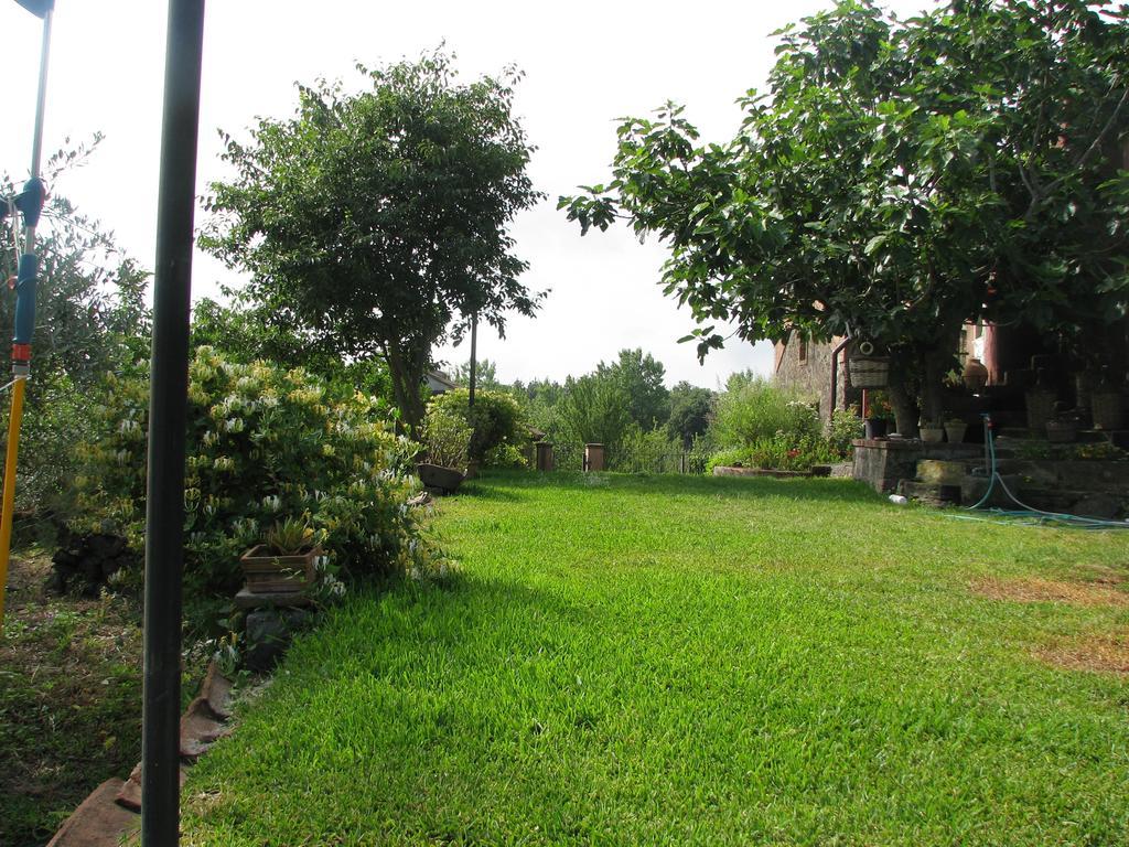 Domus Vini Villa San Giovanni La Punta Room photo