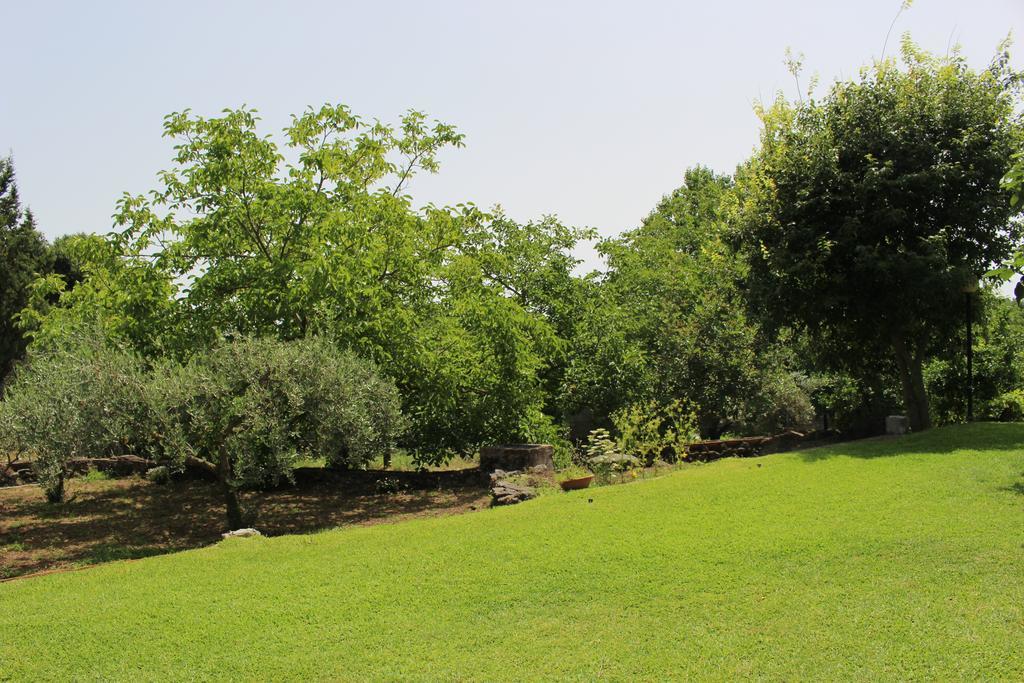 Domus Vini Villa San Giovanni La Punta Exterior photo